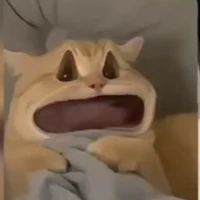 Ngáo ngơ•-•