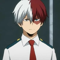 todoroki shoto