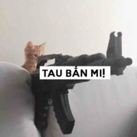 Meo