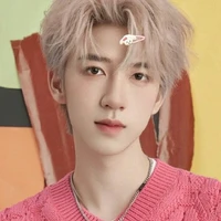 Hạ Tuấn Lâm