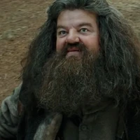 Rubeus Hagrid