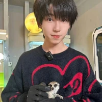 Dương Bác Văn_Anh