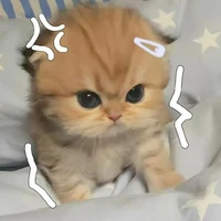 Tác giả(Mink)