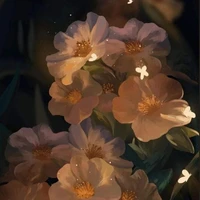 Nhân vật phụ/bí ẩn