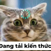 Me 