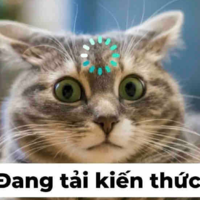 Me 