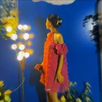 Nguyễn Thị Lan Chi (Chi Ba Báo)