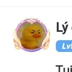 lý do tui là N