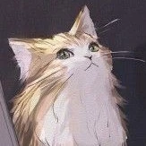 Mimi