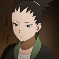 nara shikadai