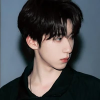 Hạ Tuấn Lâm ( HJL )