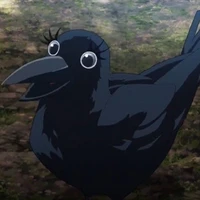 ginko