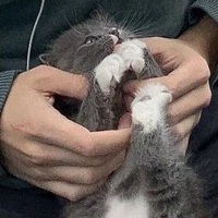 Mèoooo Yunnn