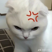 Tác giả