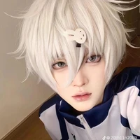 Nagi Sheisiro