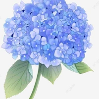 All