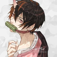 kamado nezuko (nam)