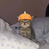 BoBoiBoy