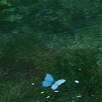 ♩𝙿𝚞𝚊♩𝙿 - 𝙳𝚒𝚎̂𝚗 𝙳𝚒