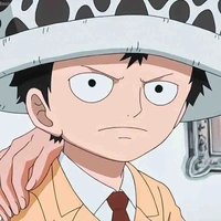 Trafalgar D Water Law