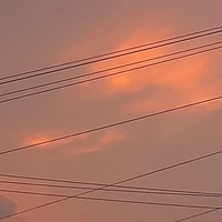 Nv toàn năng