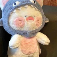 hệ thống 419