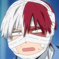 Shoto Todoroki