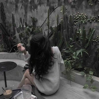 Phàm Phi Li An