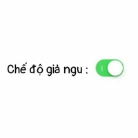 nv của t/g