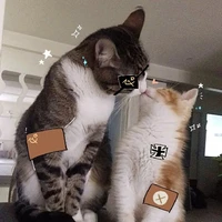 All countryhumans(-1 số người)