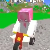 ng ddeptraisso1thegioi ( t/g )