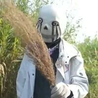 T/g [Mèo]