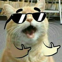 T/g xàm chubin