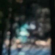 nguời giúp việc