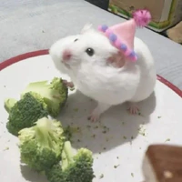 t/g