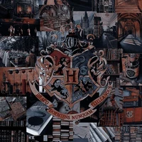 Học sinh Hogwarts 