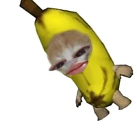 t/g kuti nhất quả đất