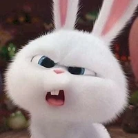 thỏ con