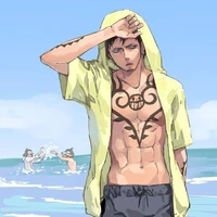 Trafalgar D Water Law.