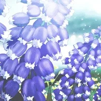 all