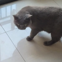 Lưu Huỳnh Diệp /tác giả/