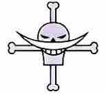 Băng Hải tặc Râu Trắng