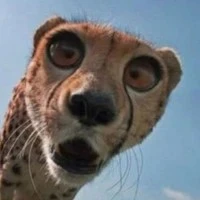 Con t/g nghiện đam