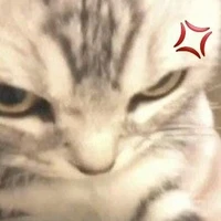 Chủ trọ may mắn