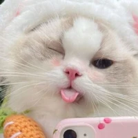 nhỏ t/g :)