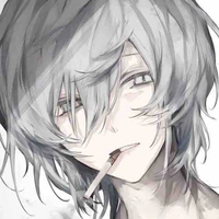 Y/n