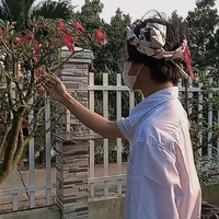 Lộc Bảo