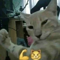 mấy nhỏ nv PHỤ