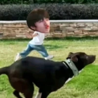 Bạn t/g cuti