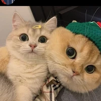 Ba mẹ Vũ